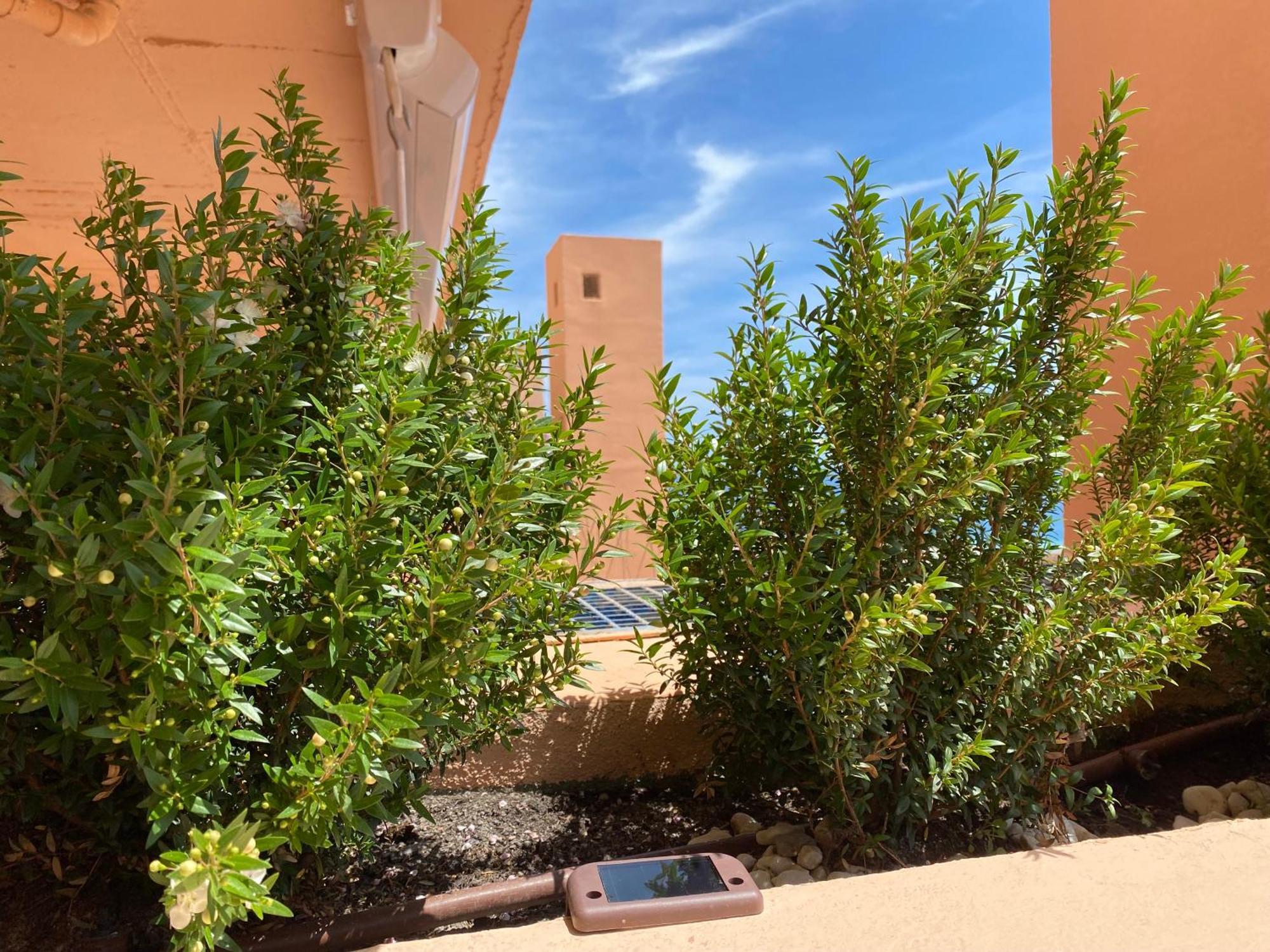 Sunrise Atalaya Amanecer Suite モハカル エクステリア 写真